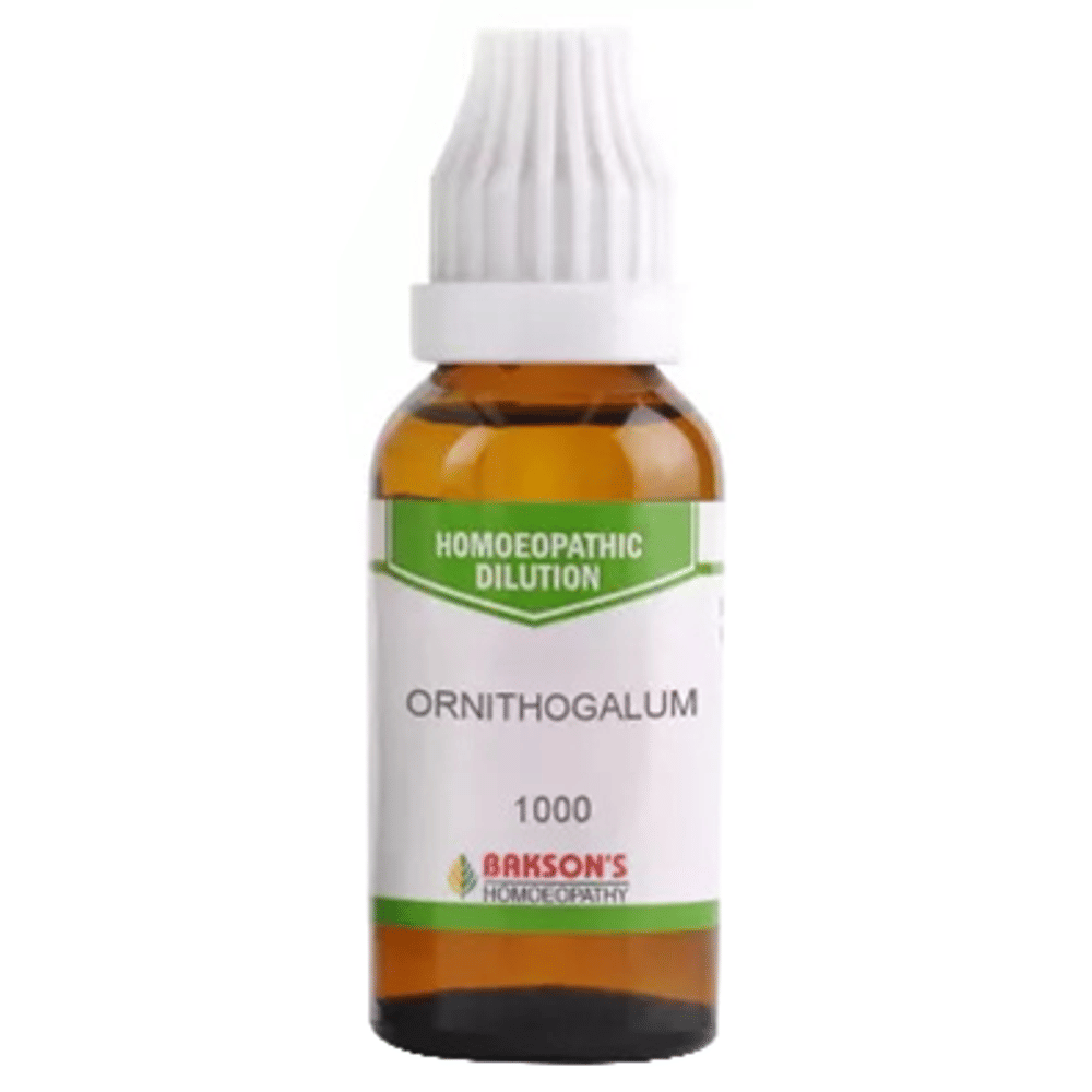 Bakson's Homeopathy Ornithogalum Dilution 1000 CH bottle of 30 ml Dilution Bakson's Homeopathy Ornithogalum Dilution 1000 CH bottle of 30 ml Dilution