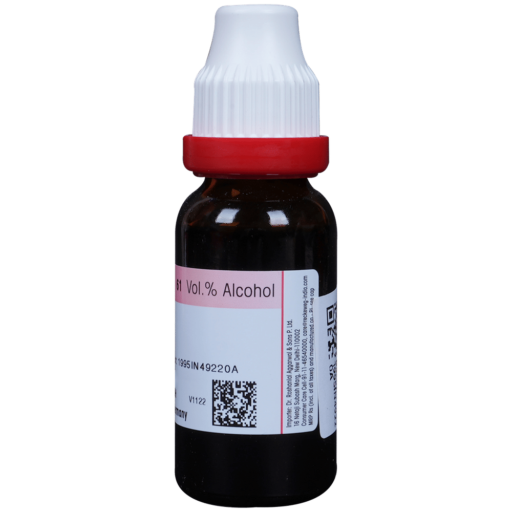 Dr. Reckeweg Bacopa Monnieri (Brahmi) Mother Tincture Q bottle of 20 ml Mother Tincture Dr. Reckeweg Bacopa Monnieri (Brahmi) Mother Tincture Q bottle of 20 ml Mother Tincture