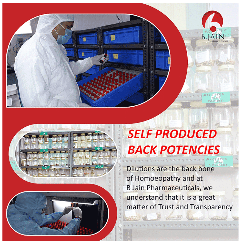 Bjain Damiana Dilution 12C bottle of 100 ml Dilution