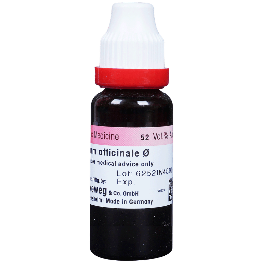 Dr. Reckeweg Symphytum Officinale Mother Tincture Q bottle of 20 ml Mother Tincture Dr. Reckeweg Symphytum Officinale Mother Tincture Q bottle of 20 ml Mother Tincture