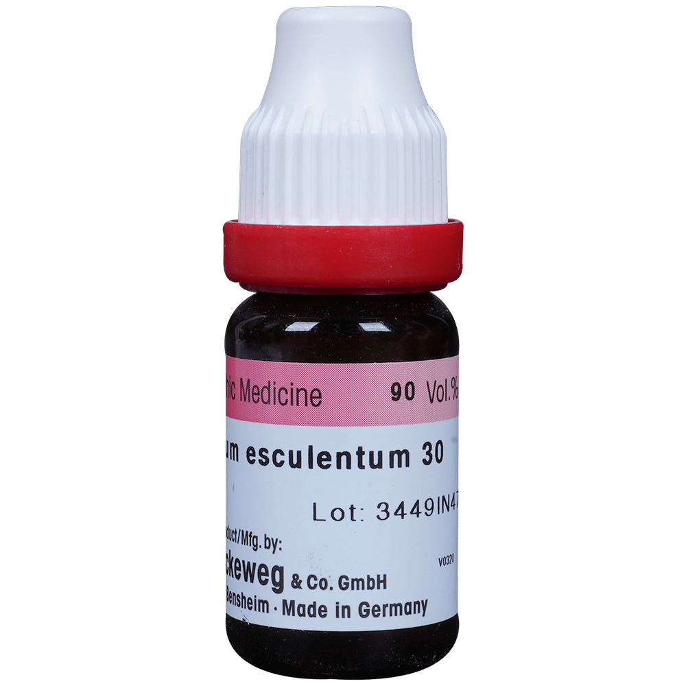 Dr. Reckeweg Fagopyrum Dilution 30 CH bottle of 11 ml Dilution Dr. Reckeweg Fagopyrum Dilution 30 CH bottle of 11 ml Dilution