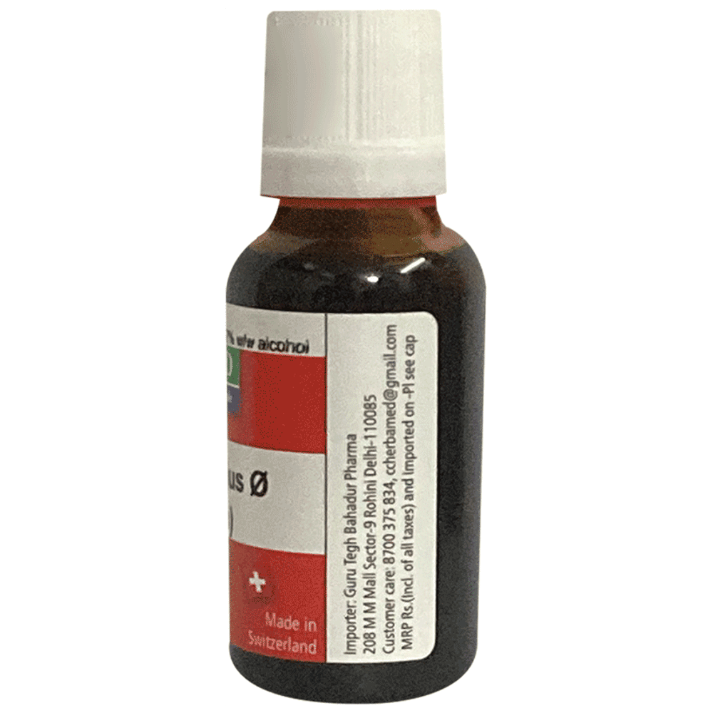 Herbamed Chelidonium Majus Mother Tincture Q bottle of 20 ml Mother Tincture Herbamed Chelidonium Majus Mother Tincture Q bottle of 20 ml Mother Tincture