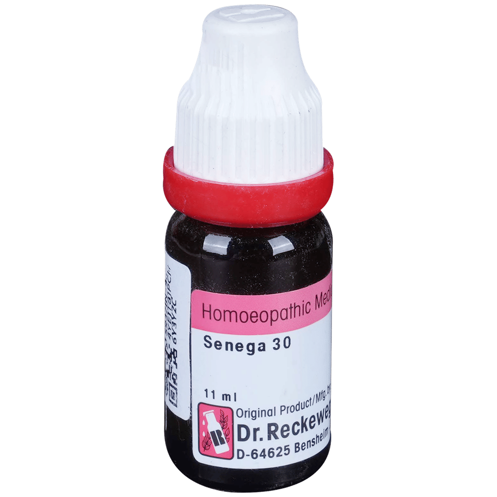 Dr. Reckeweg Senega Dilution 30 CH bottle of 11 ml Dilution Dr. Reckeweg Senega Dilution 30 CH bottle of 11 ml Dilution