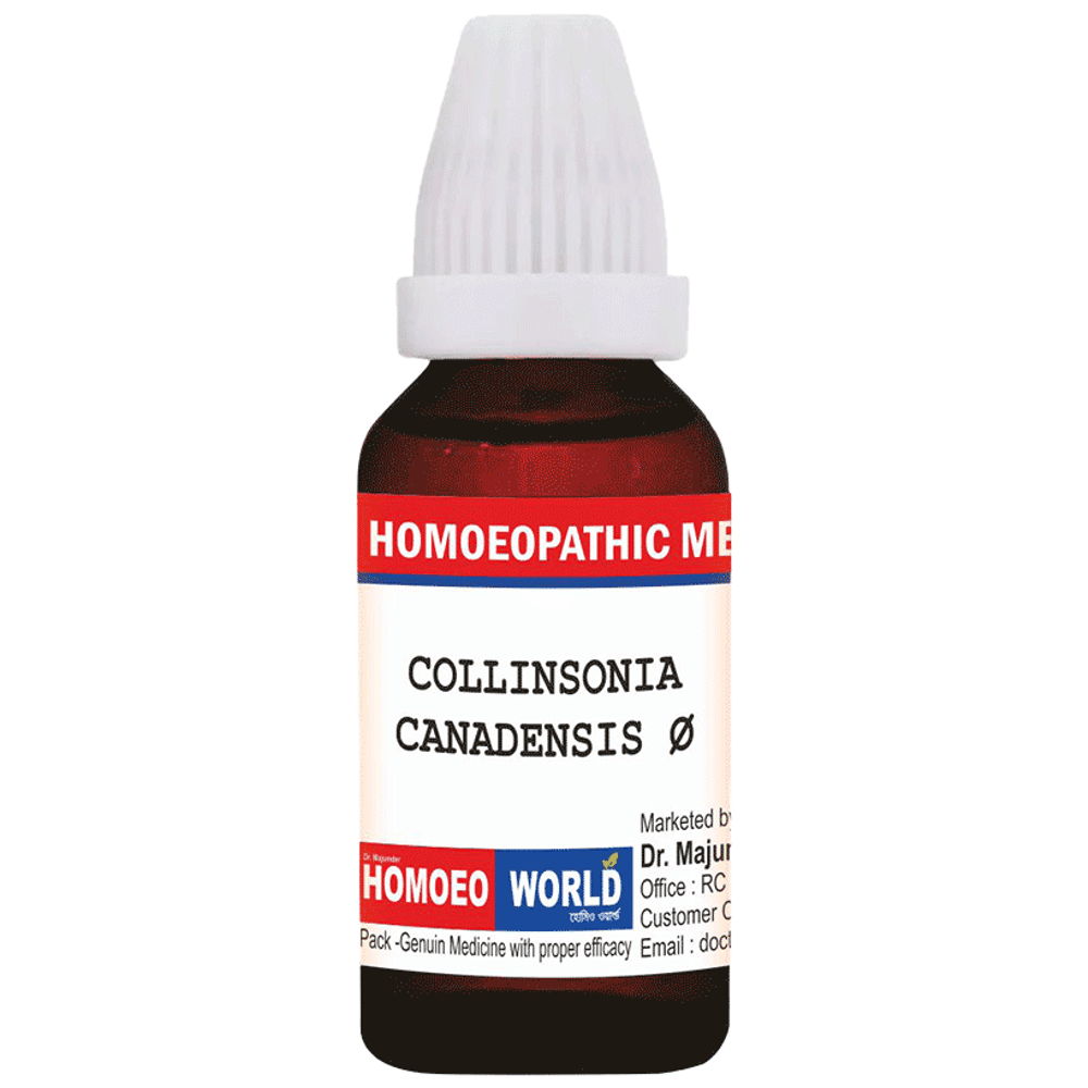 Dr. Majumder Homeo World Collinsonia Canadensis Mother Tincture (30ml Each) Q box of 1 Bottle