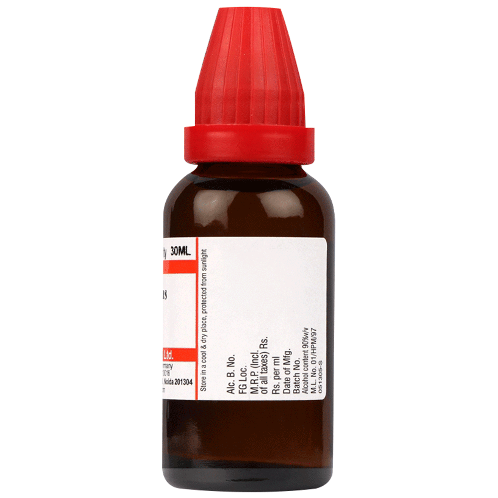 Dr Willmar Schwabe India Salol Dilution 1000 CH bottle of 30 ml Dilution