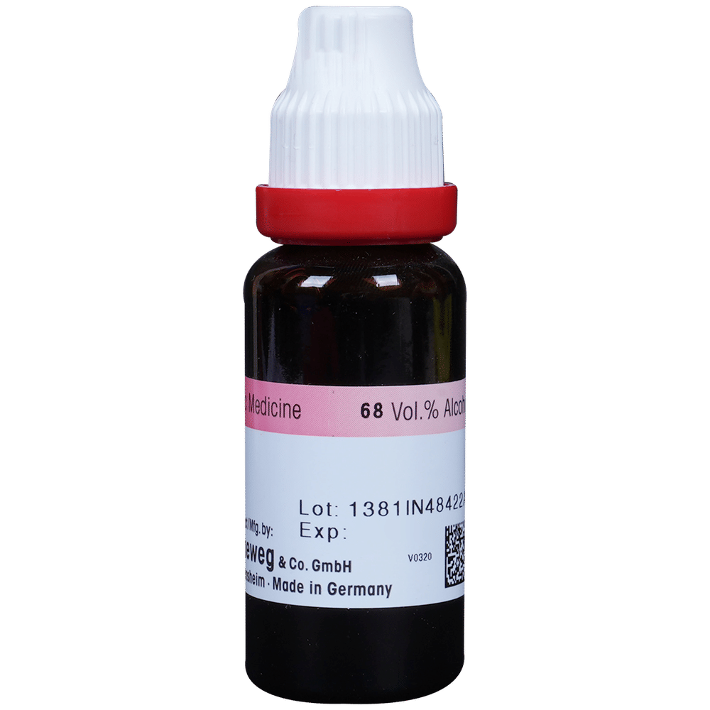 Dr. Reckeweg Alfalfa Mother Tincture Q bottle of 20 ml Mother Tincture Dr. Reckeweg Alfalfa Mother Tincture Q bottle of 20 ml Mother Tincture