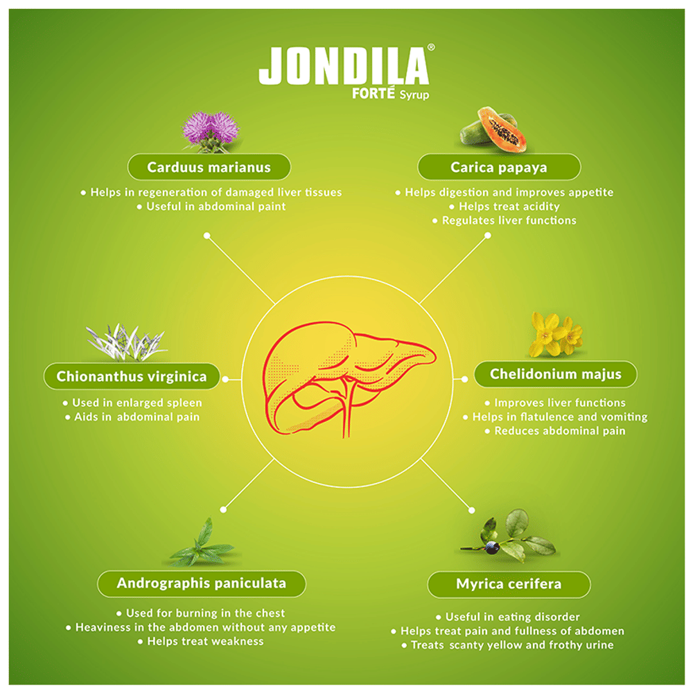 Medisynth Jondila Forte Syrup bottle of 200 ml Syrup