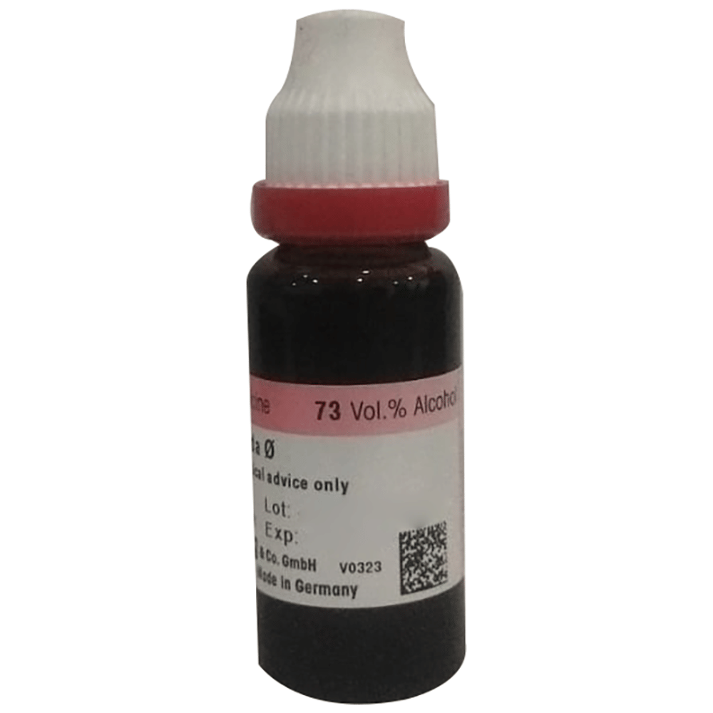 Dr. Reckeweg Justicia Adhatoda 2X Mother Tincture Q bottle of 20 ml Mother Tincture