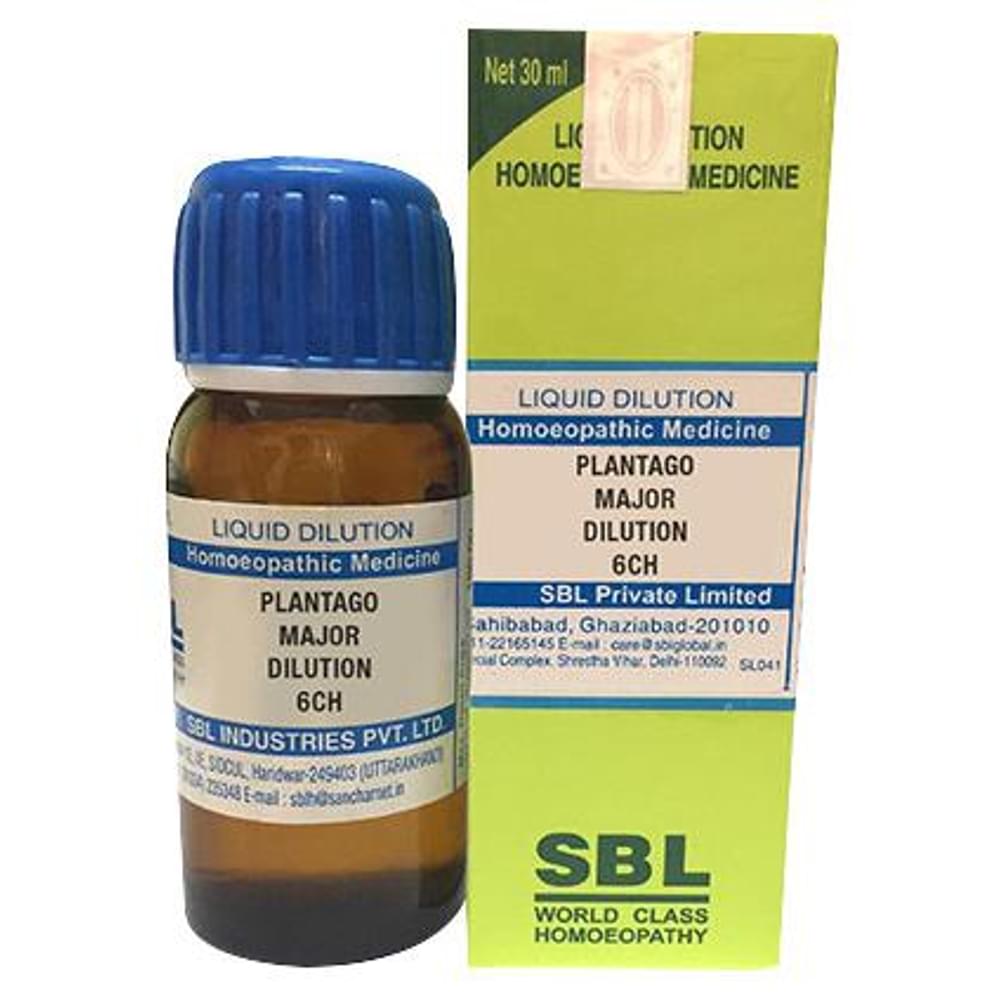 SBL Plantago Major Dilution 6 CH bottle of 30 ml Dilution SBL Plantago Major Dilution 6 CH bottle of 30 ml Dilution