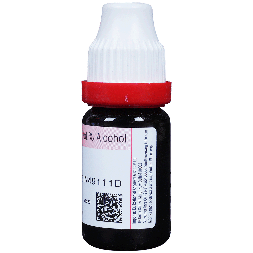 Dr. Reckeweg Robinia Pseu Dilution 30 CH bottle of 11 ml Dilution Dr. Reckeweg Robinia Pseu Dilution 30 CH bottle of 11 ml Dilution