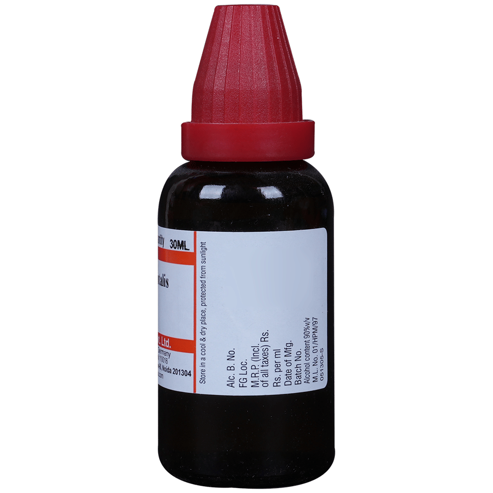 Dr Willmar Schwabe India Thuja Occidentalis Dilution 1000 CH bottle of 30 ml Dilution Dr Willmar Schwabe India Thuja Occidentalis Dilution 1000 CH bottle of 30 ml Dilution