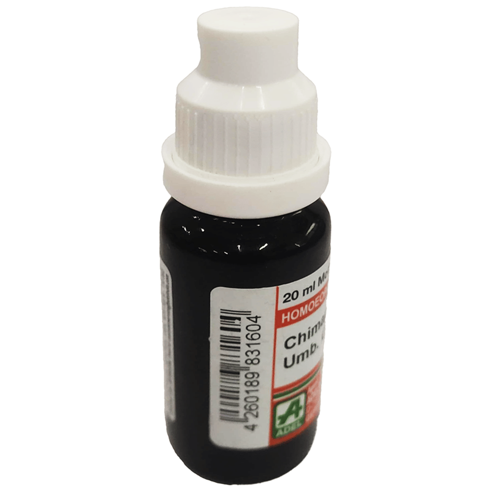 ADEL Chimaphila Mother Tincture Q bottle of 20 ml Mother Tincture ADEL Chimaphila Mother Tincture Q bottle of 20 ml Mother Tincture