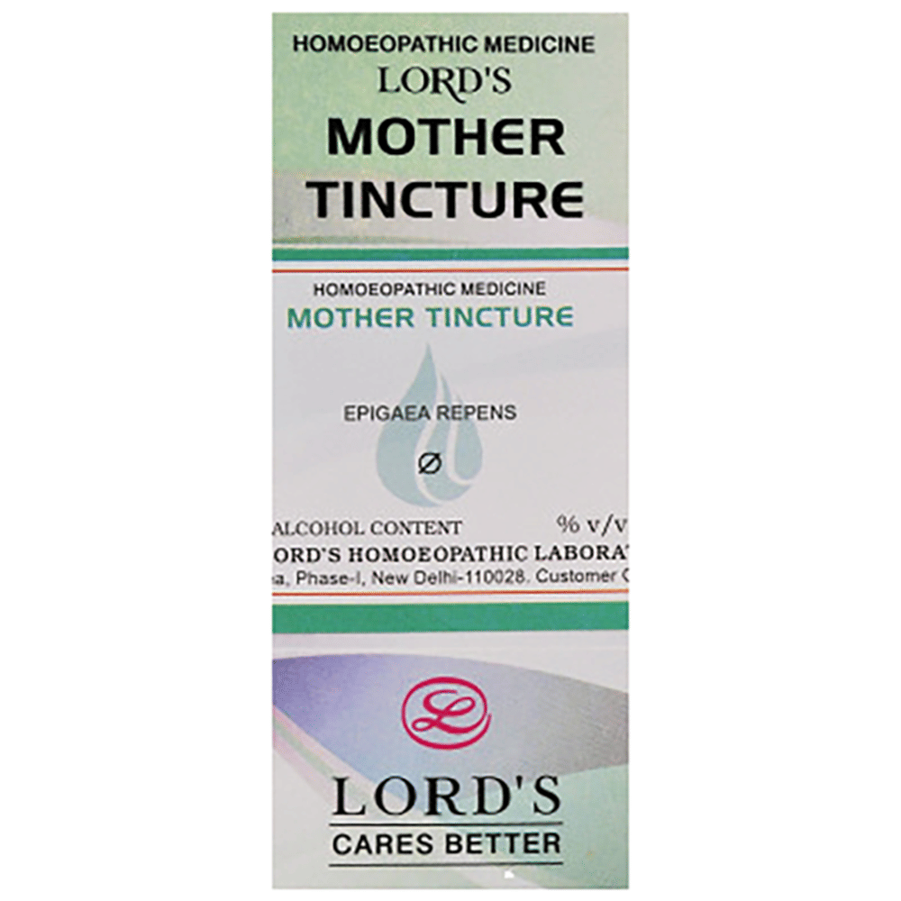 Lord's Epigaea Repens Mother Tincture Q bottle of 30 ml Mother Tincture
