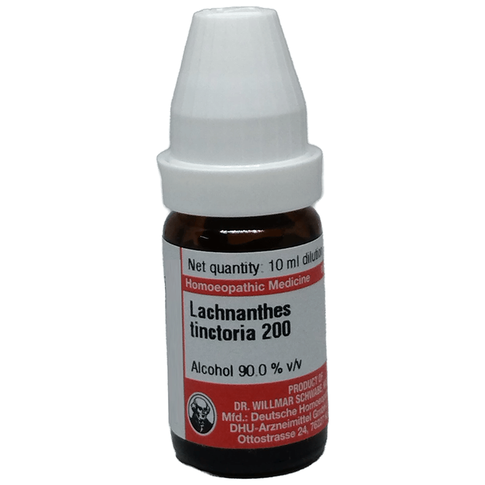 Dr Willmar Schwabe Germany Lacnanthes Tinctoria Dilution 200 bottle of 10 ml Dilution