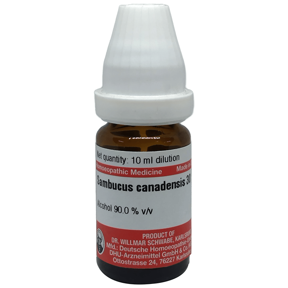 Dr Willmar Schwabe Germany Sambucus Canadensis Dilution 30 bottle of 10 ml Dilution