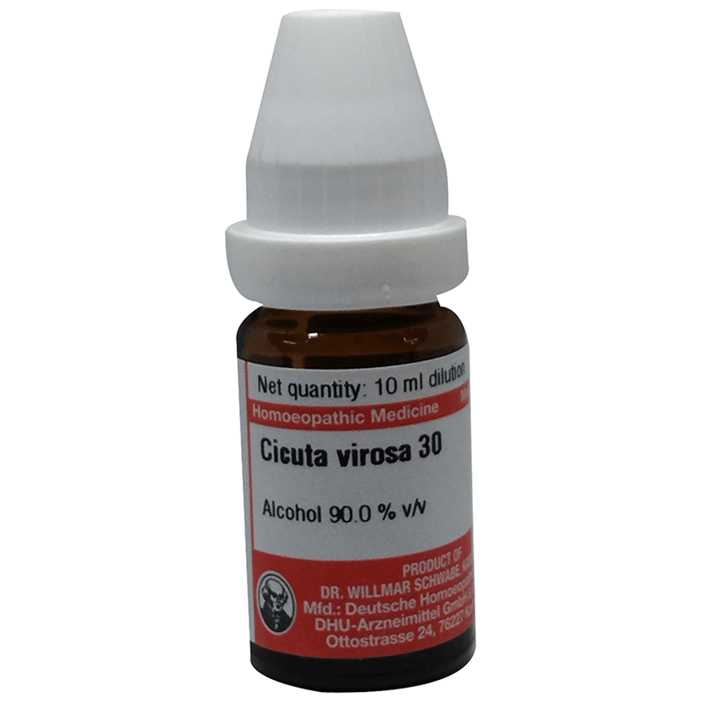 Dr Willmar Schwabe Germany Cicuta Virosa Dilution 30 bottle of 10 ml Dilution