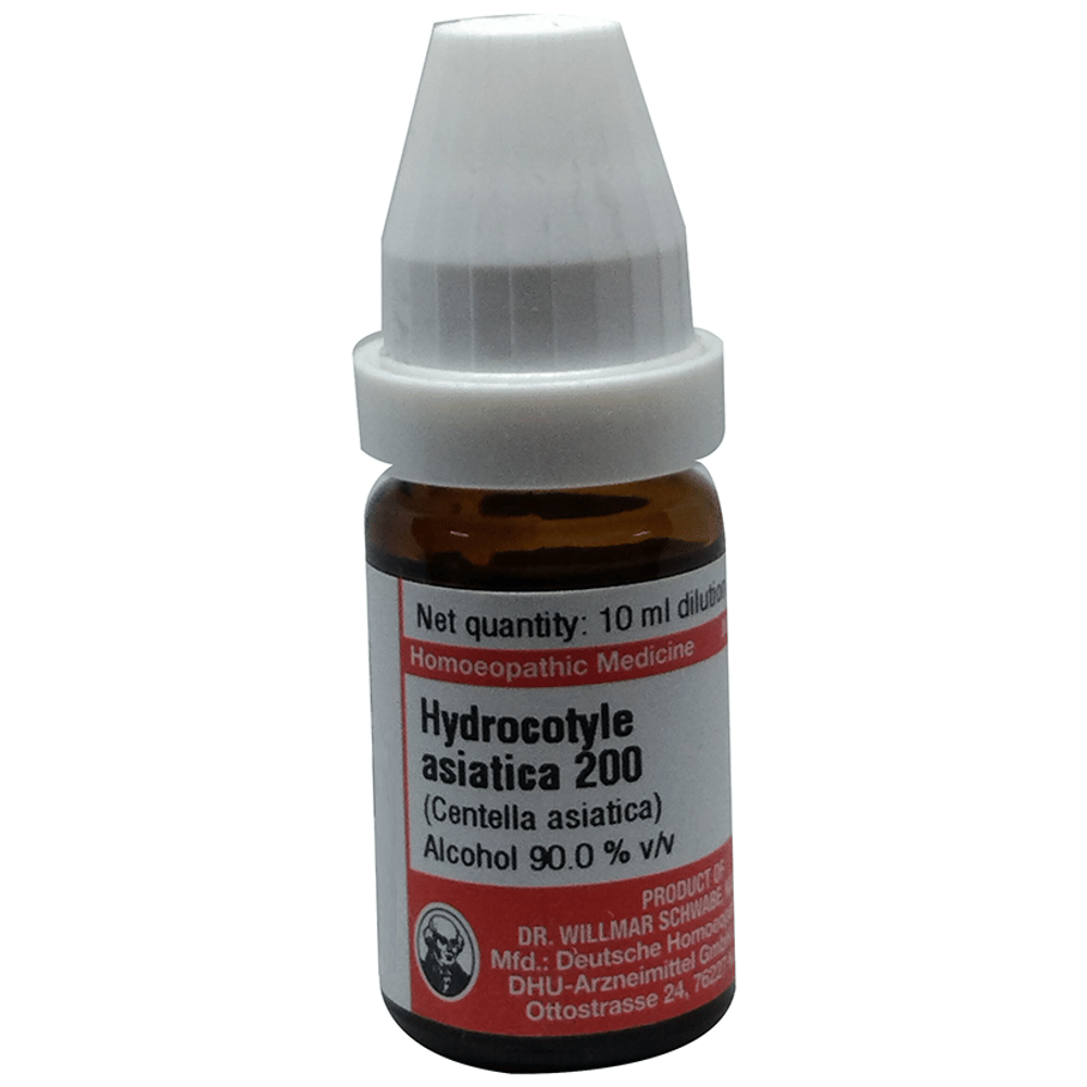 Dr Willmar Schwabe Germany Hydrocotyle Asiatica (Centella Asiatica) Dilution 200 bottle of 10 ml Dilution