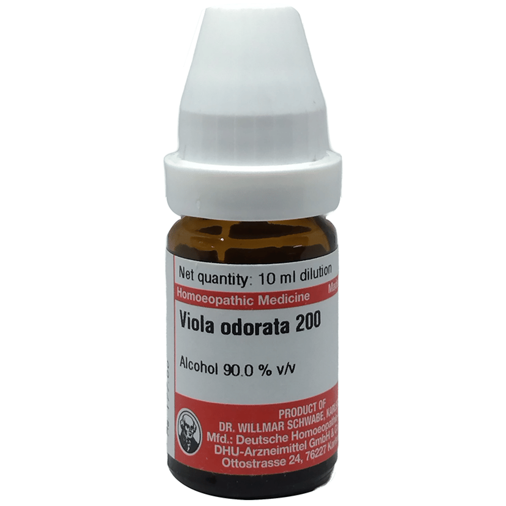 Dr Willmar Schwabe Germany Viola Odorata Dilution 200 bottle of 10 ml Dilution