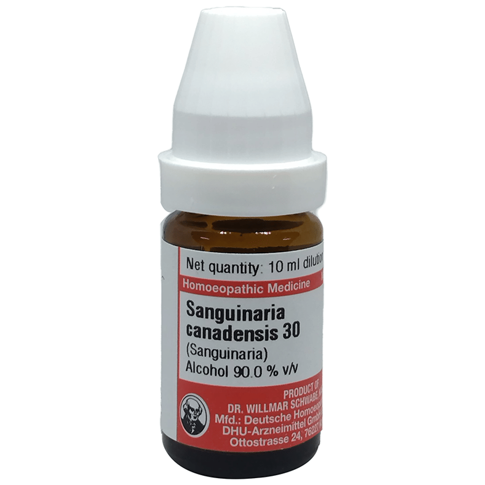 Dr Willmar Schwabe Germany Sanguinaria Canadenis Dilution 30 bottle of 10 ml Dilution