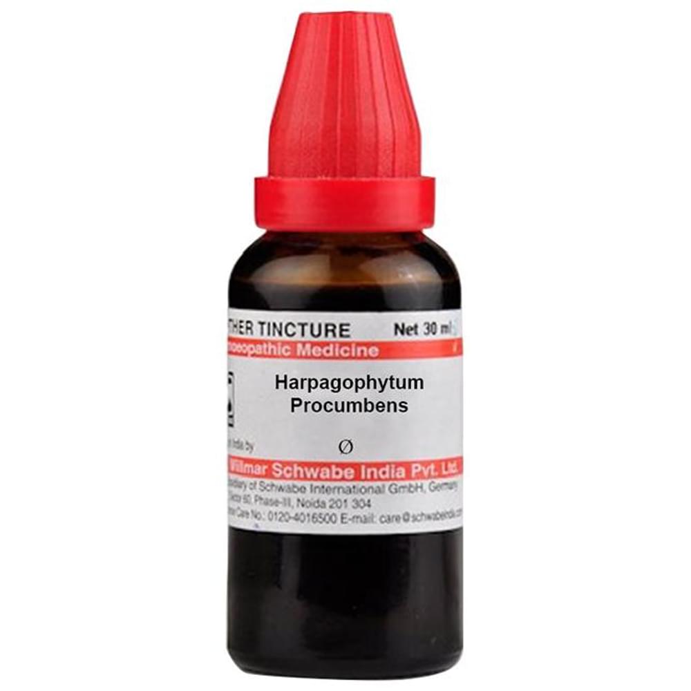 Dr Willmar Schwabe India Harpagophytum Procumbens Mother Tincture Q bottle of 30 ml Mother Tincture