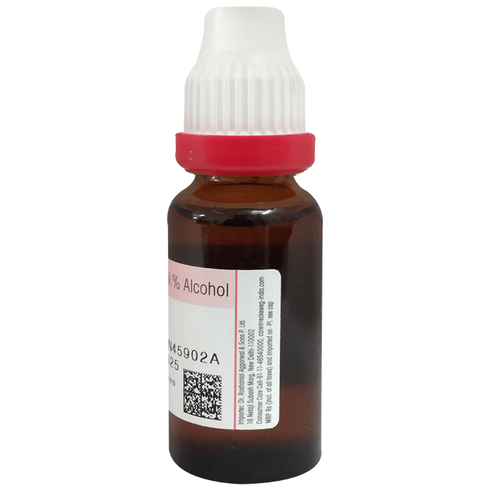 Dr Reckeweg &Co.gmbH Sabal Serrulata Mother Tincture Q bottle of 20 ml Mother Tincture