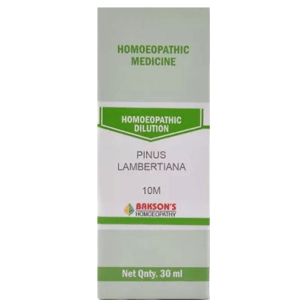 Bakson's Homeopathy Pinus Lambertiana Dilution 10M bottle of 30 ml Dilution