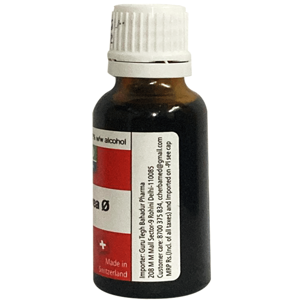 Herbamed Solidago Virgaurea Mother Tincture Q bottle of 20 ml Mother Tincture