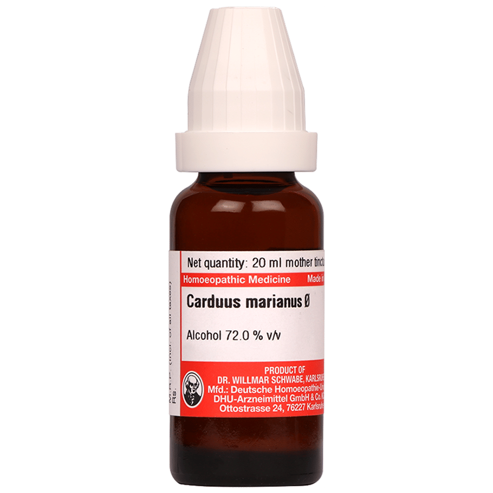 Dr Willmar Schwabe Germany Carduus Marianus Mother Tincture Q bottle of 20 ml Mother Tincture Dr Willmar Schwabe Germany Carduus Marianus Mother Tincture Q bottle of 20 ml Mother Tincture