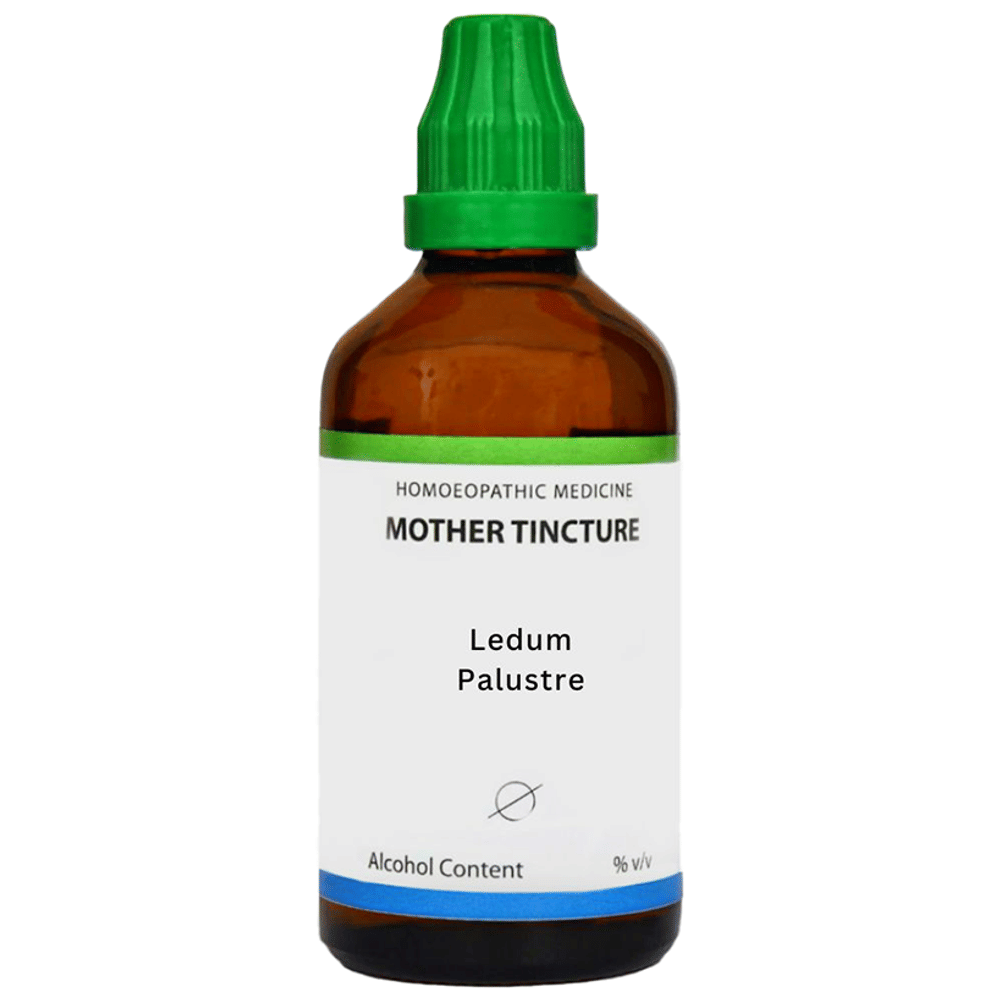 LDD Bioscience Ledum Palustre Mother Tincture Q bottle of 100 ml Mother Tincture