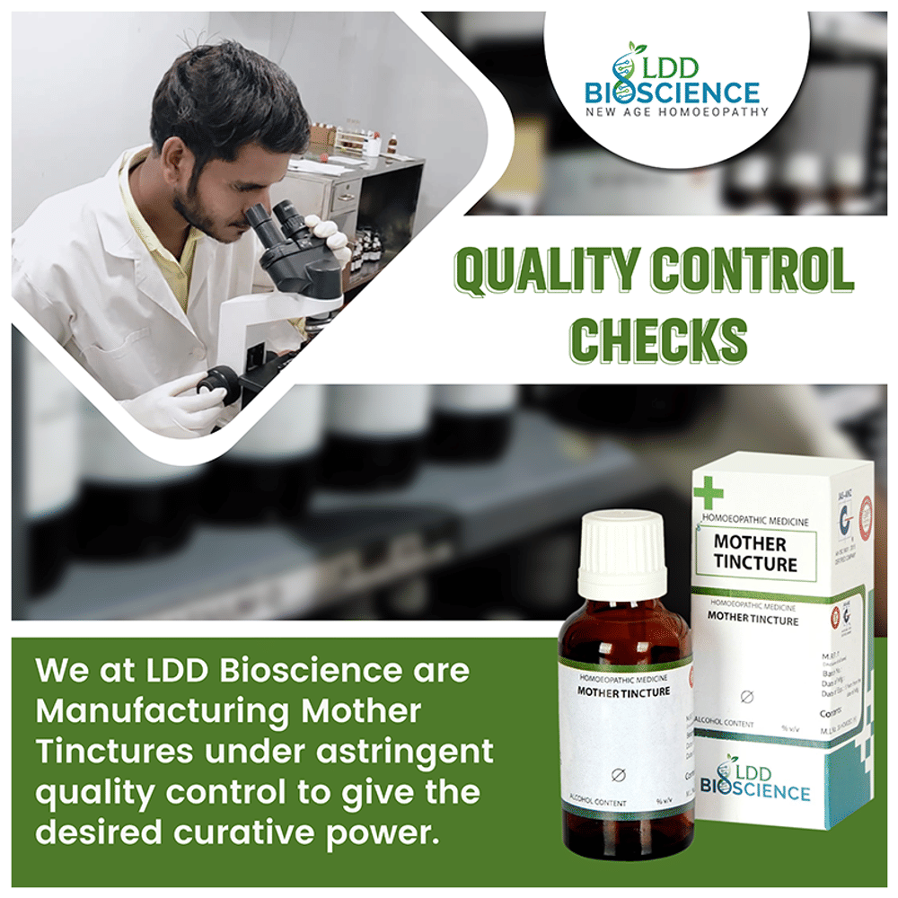 LDD Bioscience Acidum Lacticum Mother Tincture Q bottle of 100 ml Mother Tincture LDD Bioscience Acidum Lacticum Mother Tincture Q bottle of 100 ml Mother Tincture