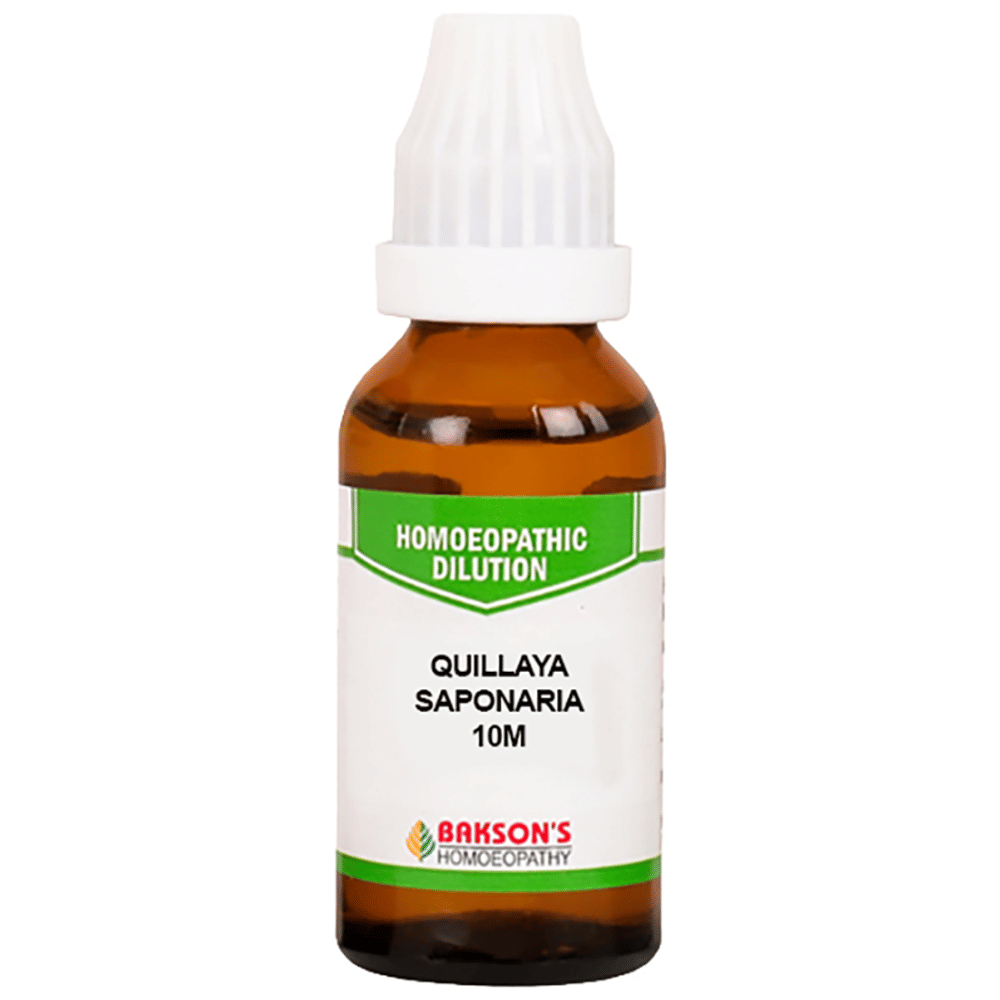 Bakson's Homeopathy Quillaya Saponaria Dilution 10M bottle of 30 ml Dilution
