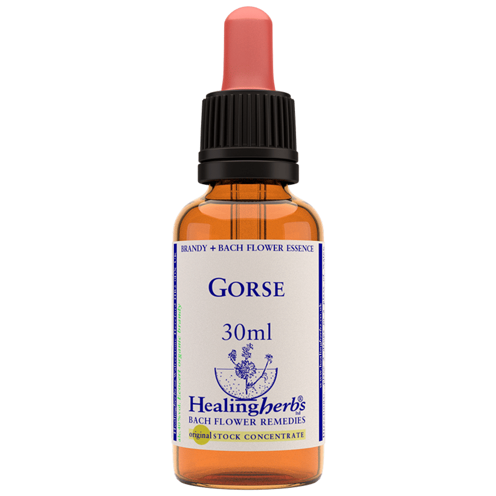 Healing Herbs Bach Flower Gorse bottle of 30 ml Liquid