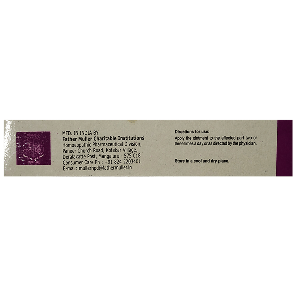 Fr Muller Analgesic Ointment tube of 15 gm Ointment