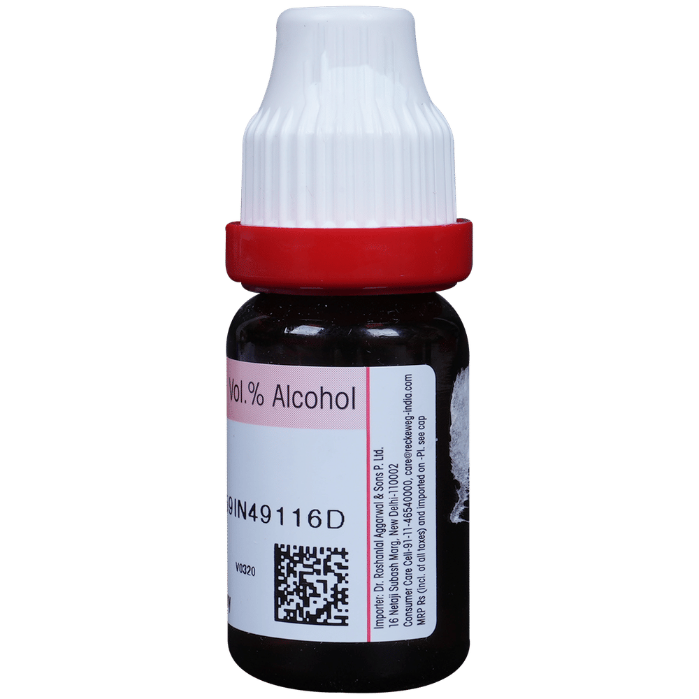 Dr. Reckeweg Sepia Dilution 200 CH bottle of 11 ml Dilution Dr. Reckeweg Sepia Dilution 200 CH bottle of 11 ml Dilution