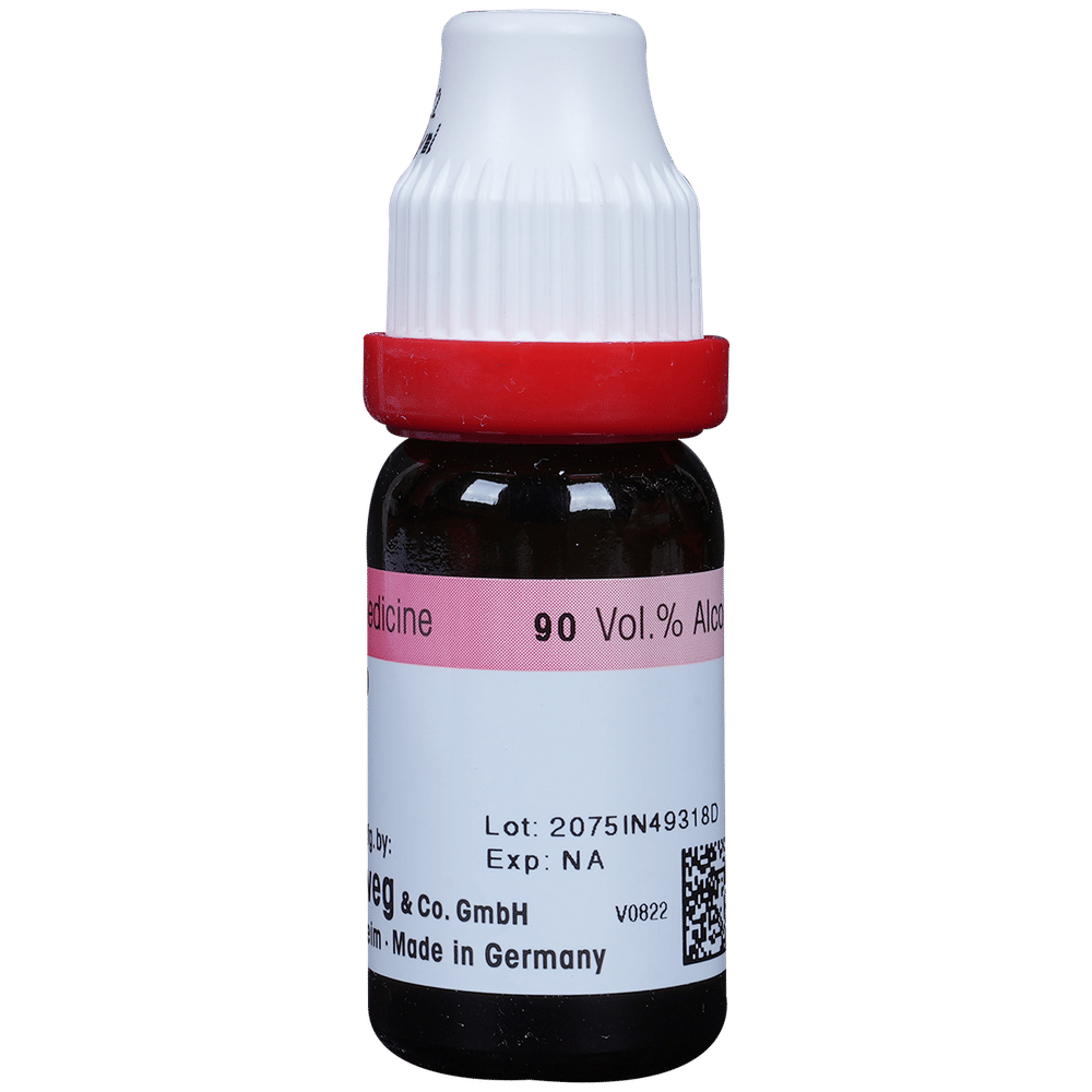 Dr. Reckeweg Belladonna Dilution 200 CH bottle of 11 ml Dilution Dr. Reckeweg Belladonna Dilution 200 CH bottle of 11 ml Dilution