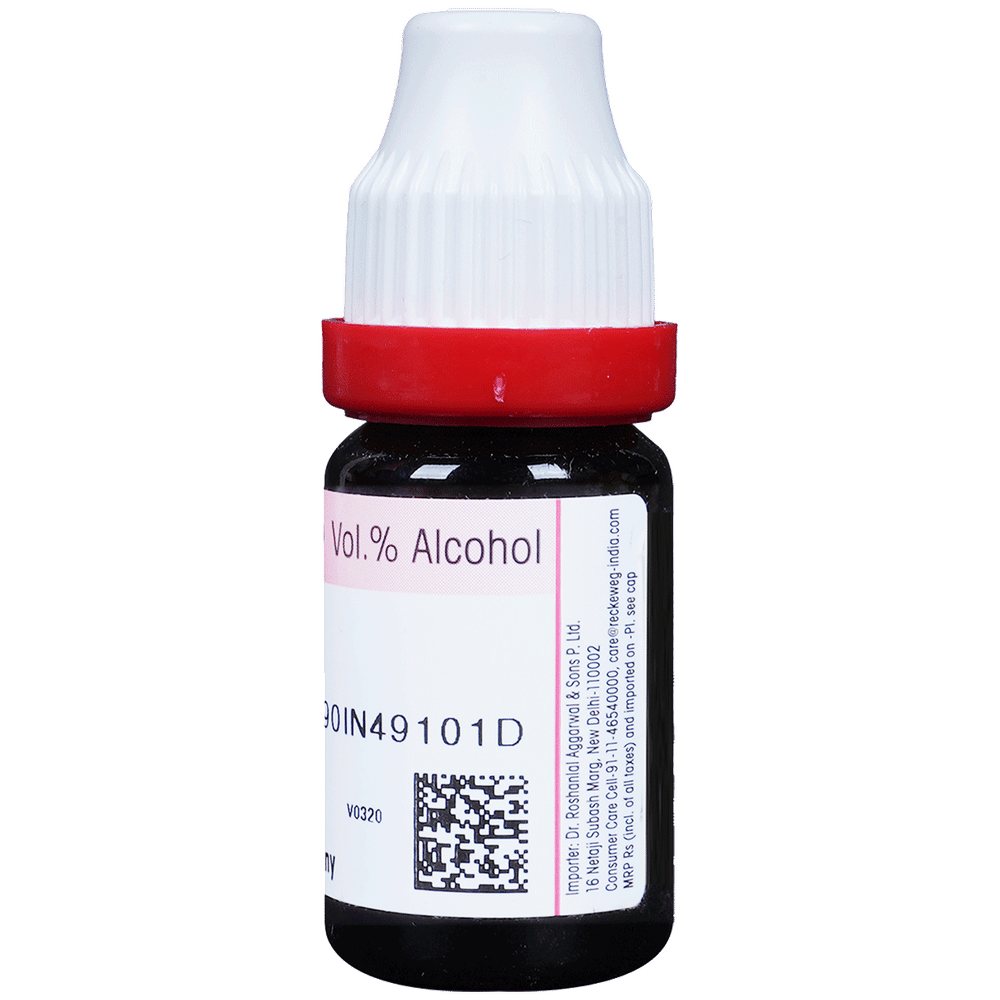 Dr. Reckeweg Phosphorus Dilution 30 CH bottle of 11 ml Dilution Dr. Reckeweg Phosphorus Dilution 30 CH bottle of 11 ml Dilution