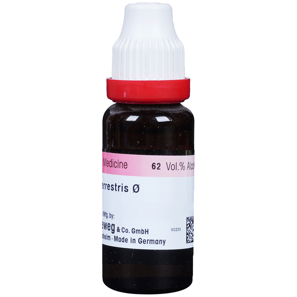 Dr. Reckeweg Tribulus Terr Mother Tincture Q bottle of 20 ml Mother Tincture