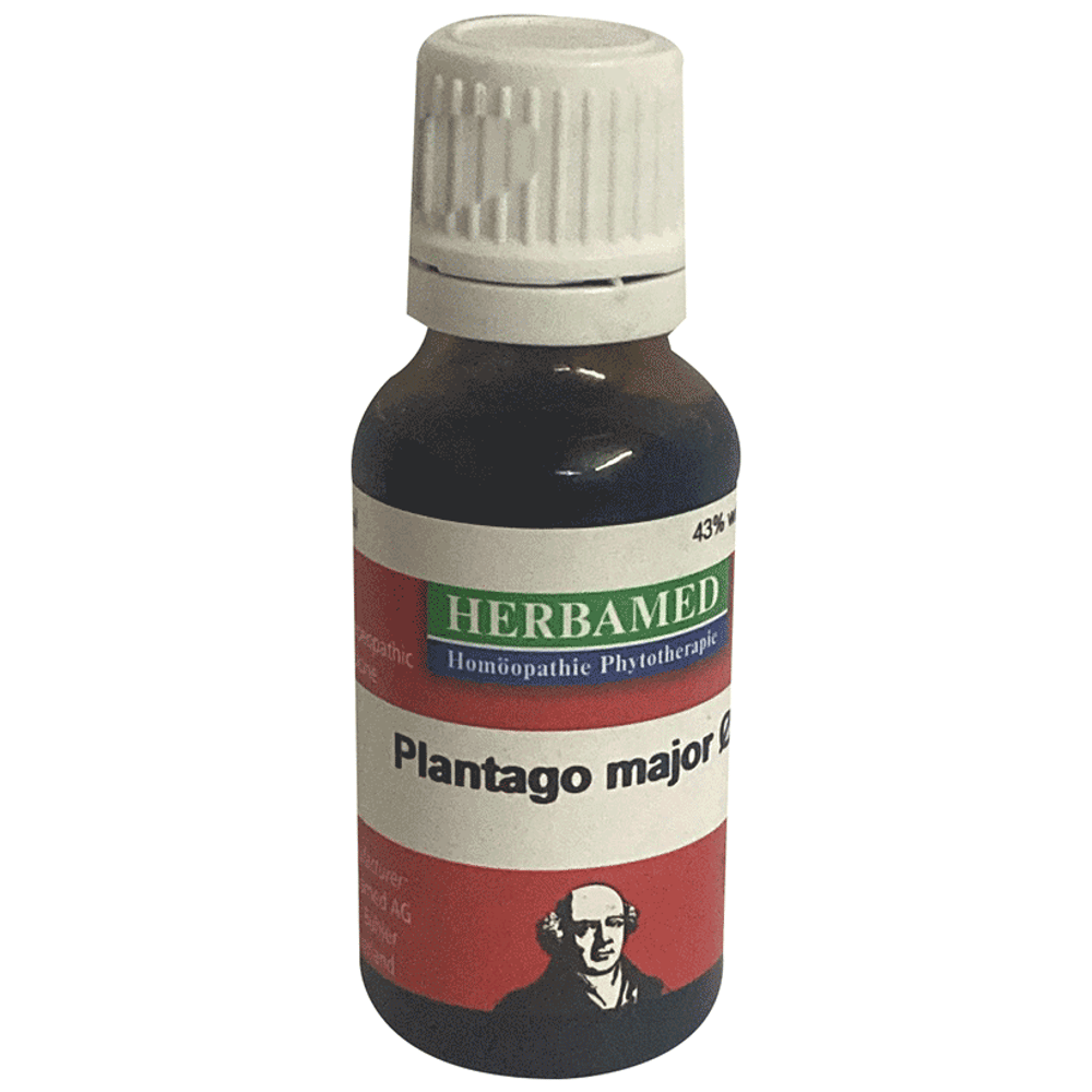 Herbamed Plantago Major Mother Tincture Q bottle of 20 ml Mother Tincture