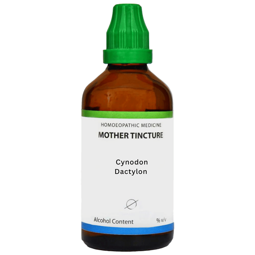 LDD Bioscience Cynodon Dactylon Mother Tincture Q bottle of 100 ml Mother Tincture