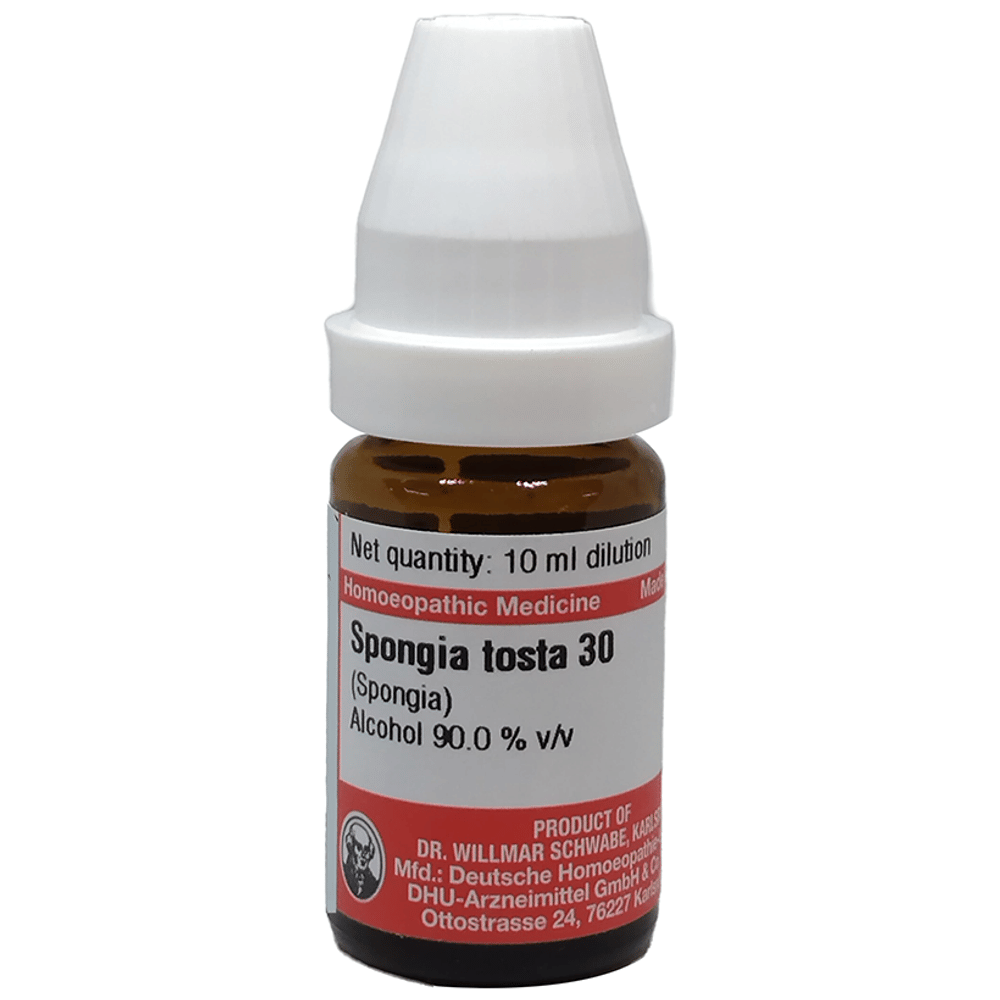 Dr Willmar Schwabe Germany Spongia Tosta Dilution 30 bottle of 10 ml Dilution