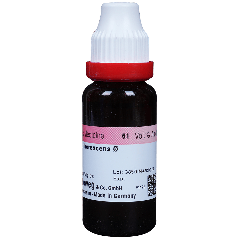 Dr. Reckeweg Hydrangea Mother Tincture Q bottle of 20 ml Mother Tincture Dr. Reckeweg Hydrangea Mother Tincture Q bottle of 20 ml Mother Tincture