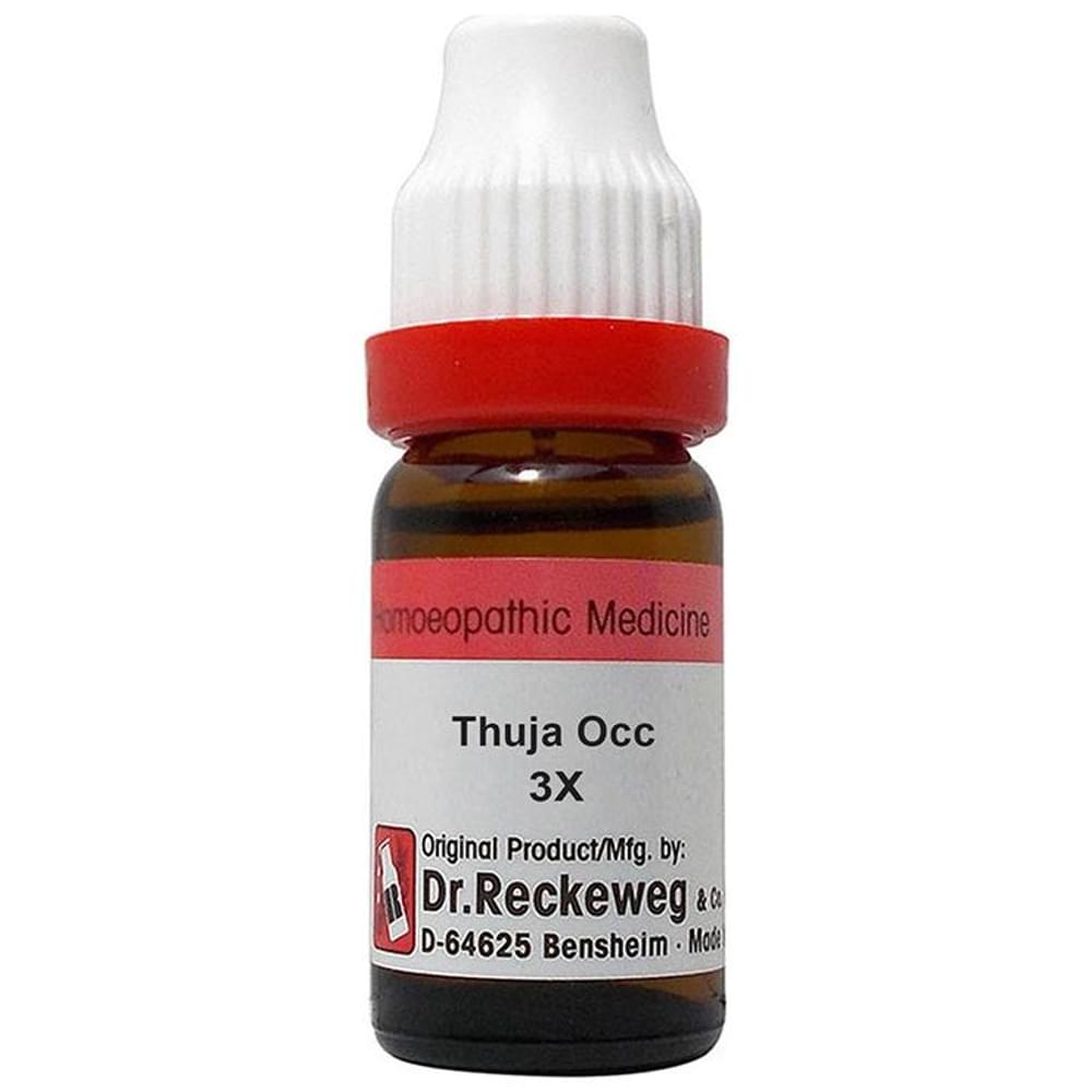Dr. Reckeweg Thuja Occ Dilution 3X bottle of 11 ml Dilution
