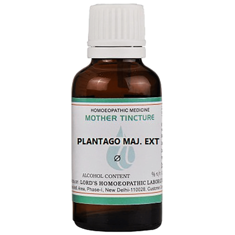 Lord's Plantago Maj. Ext Mother Tincture Q bottle of 30 ml Mother Tincture