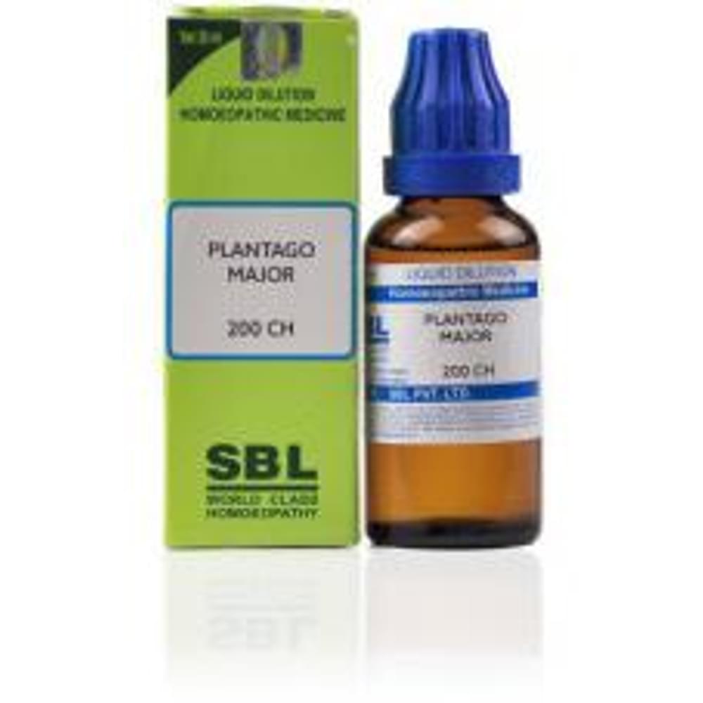 SBL Plantago Major Dilution 200 CH bottle of 30 ml Dilution