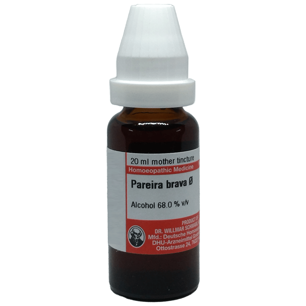 Dr Willmar Schwabe Germany Mother Tincture Pareira Brava  Q bottle of 20 ml Mother Tincture