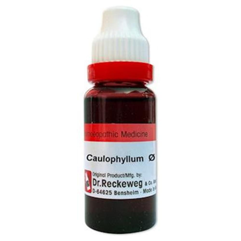 Dr. Reckeweg Caulophyllum Mother Tincture Q bottle of 20 ml Mother Tincture Dr. Reckeweg Caulophyllum Mother Tincture Q bottle of 20 ml Mother Tincture