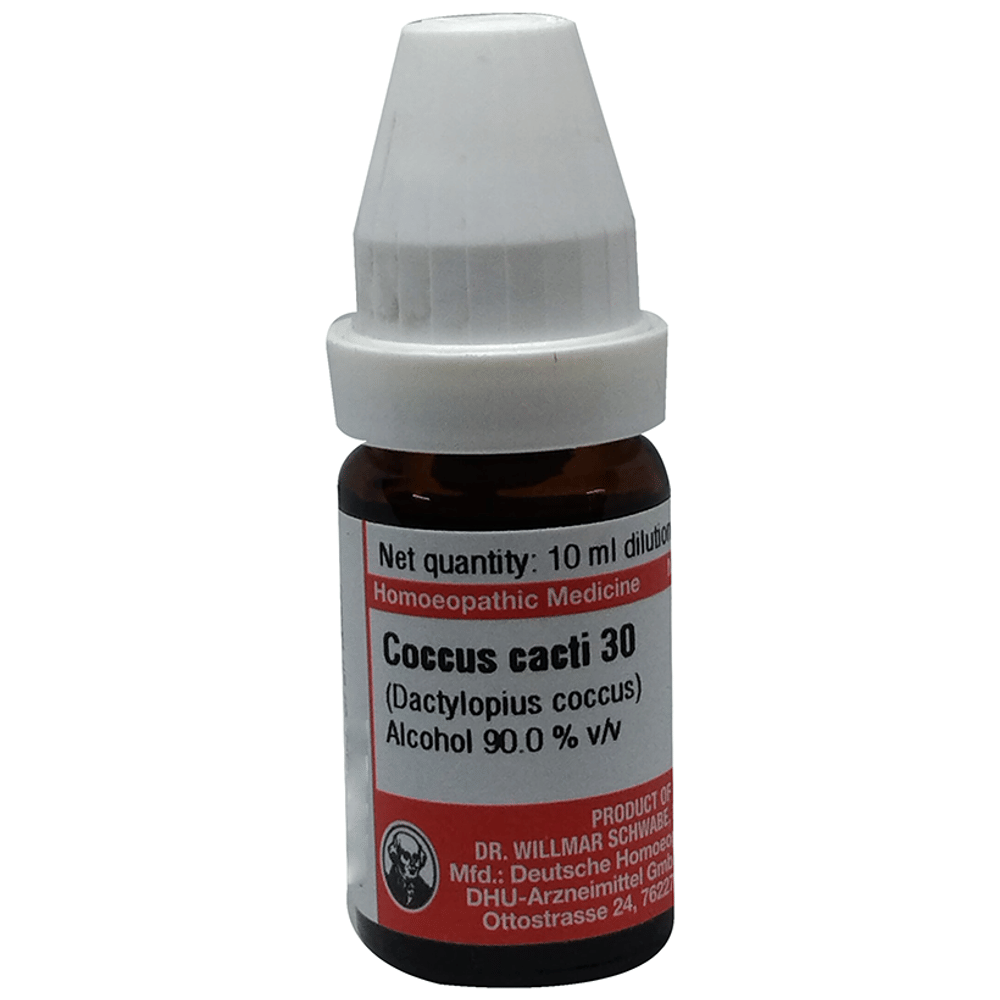 Dr Willmar Schwabe Germany Coccus Cacti  Dilution 30 bottle of 10 ml Dilution