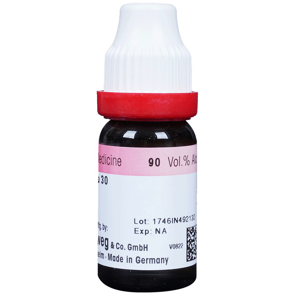 Dr. Reckeweg Arnica Mont Dilution 30 CH bottle of 11 ml Dilution Dr. Reckeweg Arnica Mont Dilution 30 CH bottle of 11 ml Dilution