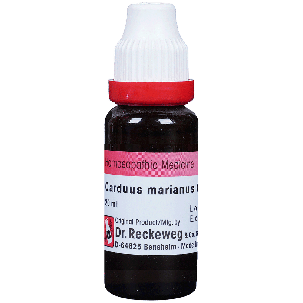 Dr. Reckeweg Carduus Mar Mother Tincture Q | For Liver Care bottle of 20 ml Mother Tincture