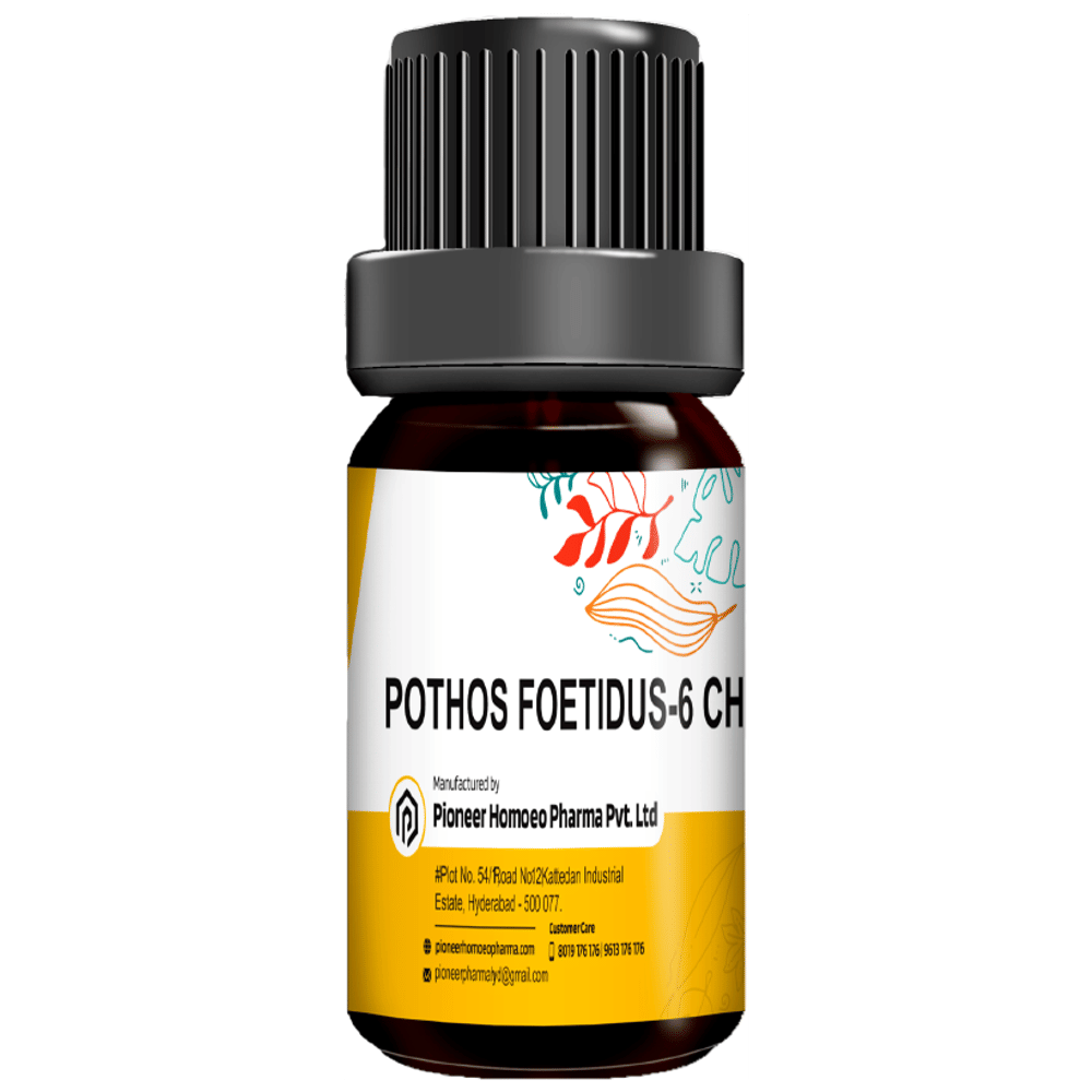 Pioneer Pharma Pothos Foetidus Globules Pellets Multidose Pills 6 CH bottle of 150 tablets